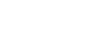 smart-local9-white.png